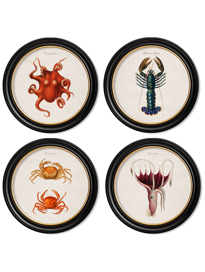 Marine Animals in Round Frames – Crabs – 70cmx70cm & 44cmx44cm
