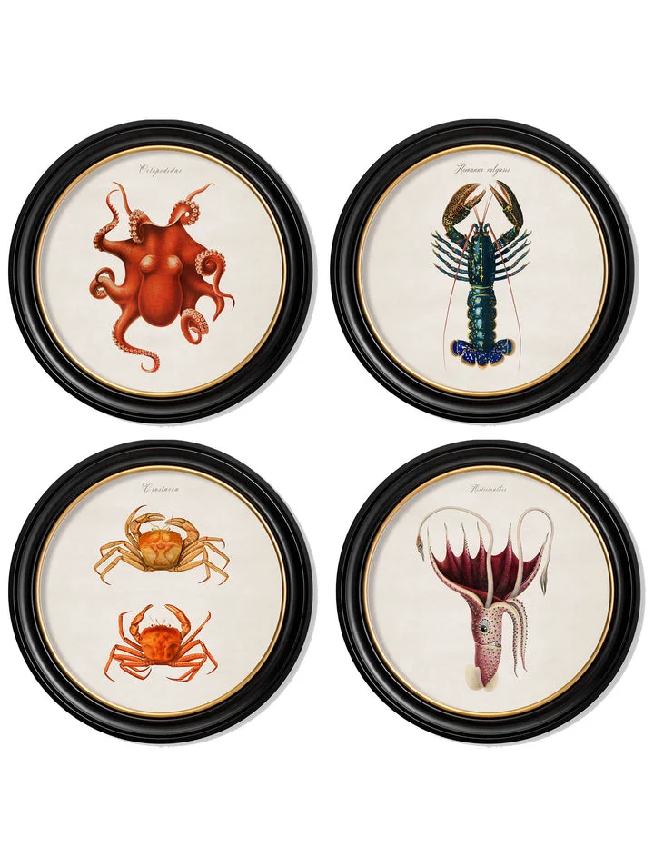 Marine Animals in Round Frames - Crabs - 70cmx70cm & 44cmx44cm 2